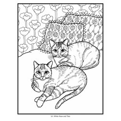 Libro de colorear. Mimi Vang Olsen: Cats Coloring Book