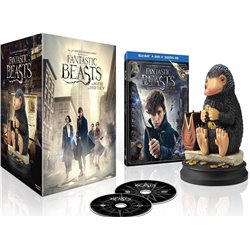 Blu-ray + DVD + Digital copy. Fantastic Beasts and where to find them / Animales Fantásticos y Dónde Encontrarlos