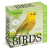 Calendario de escritorio. Audubon Birds 2023