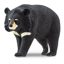 Figura. MOON BEAR