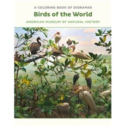 Libro de colorear.  BIRDS OF THE WORLD